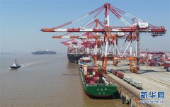 春天，汇聚复苏的力量——写在2020年首季中