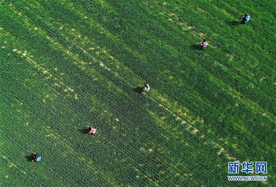 春天，汇聚复苏的力量——写在2020年首季中国经济收官之际