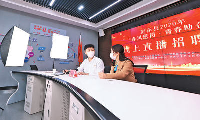 抓复工稳就业(统筹抓好改革发展稳定各项工作)