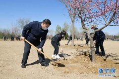 习近平在参加首都义务植树活动时强调牢固树立绿水青山就