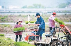 粮食供给短缺？多虑了（锐财经·一手抓防疫