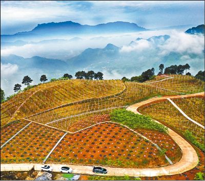重庆万盛经开区万东镇五和村:乡村公路助力致富