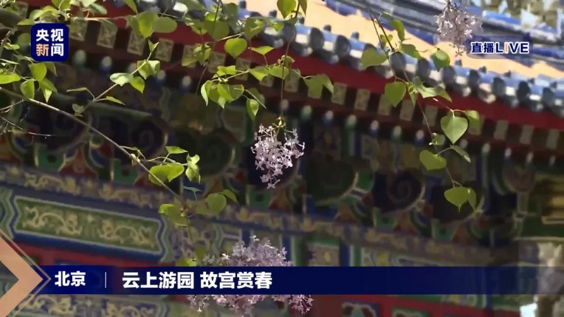 满园春色关不住 故宫直播受热捧