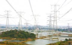 全国首个长三角一体化地市级电力行动计划发布