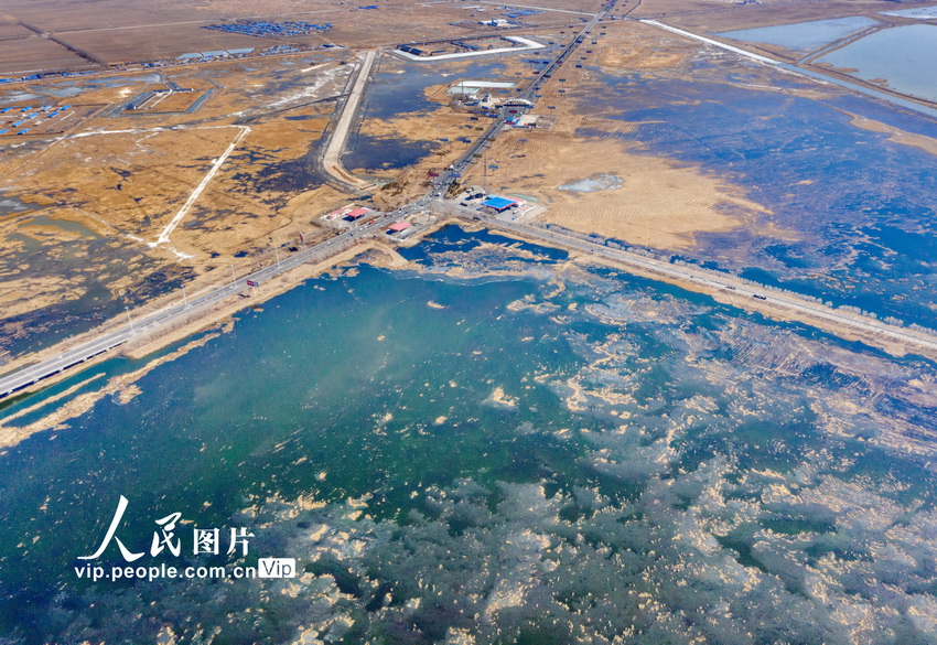 航拍大庆龙凤湿地景美如画【2】