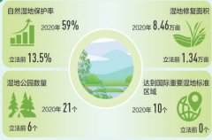 湿地保护率八年增四倍（小康路上绿色力量·