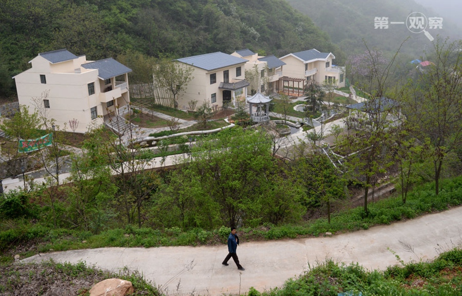 第一观察 | 鉴往知来：总书记来到秦岭，关注山清水秀有深意