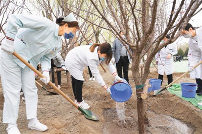 京城处处吐新绿