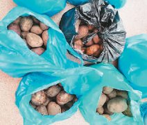 “我们收到了喀山联邦大学的5公斤土豆”