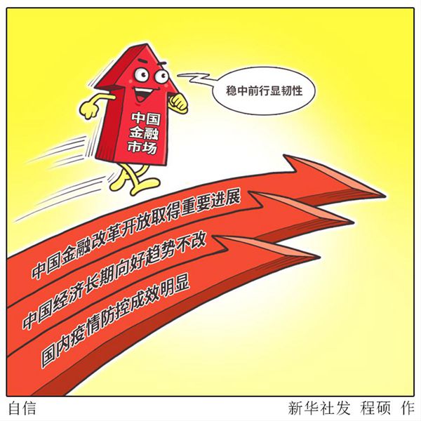 中国金融新观察