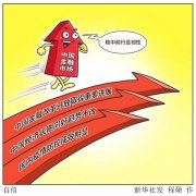 中国金融新观察