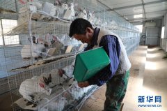 习近平总书记关切事｜啃下最后的硬骨头——脱贫