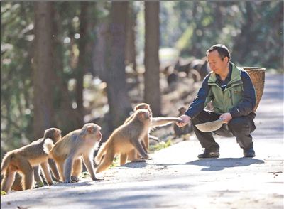 保护猕猴20年