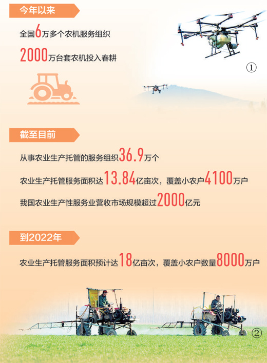 “80后”田保姆种粮记(危中寻机·农业迈向高质量)