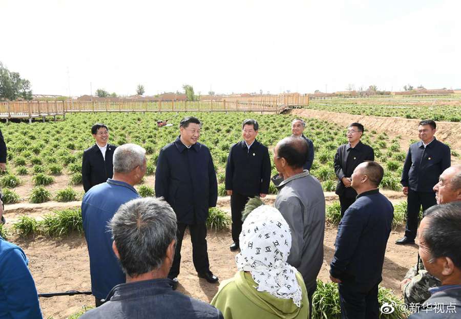 习近平：让黄花成为群众脱贫致富的“摇钱草”