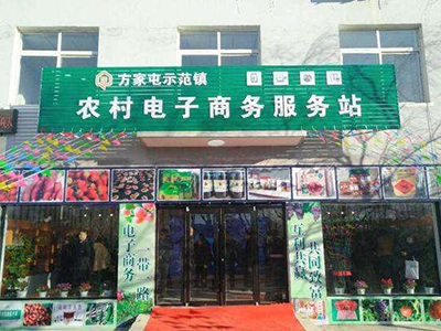 农村网民数量突破二点五亿 电商发展成效显著