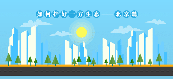 首次全年未出现严重污染日，北京是怎么做到的？