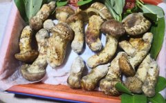 云南干旱致菌类减产 今年首批松茸卖出上万元天价