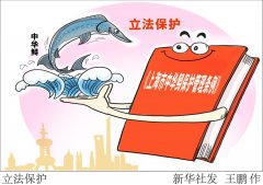 上海立法保护中华鲟