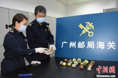 广州海关首次在出境邮递渠道查获濒危植物
