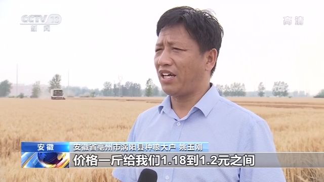 农业农村部：我国麦收进度近六成 品质好于常年