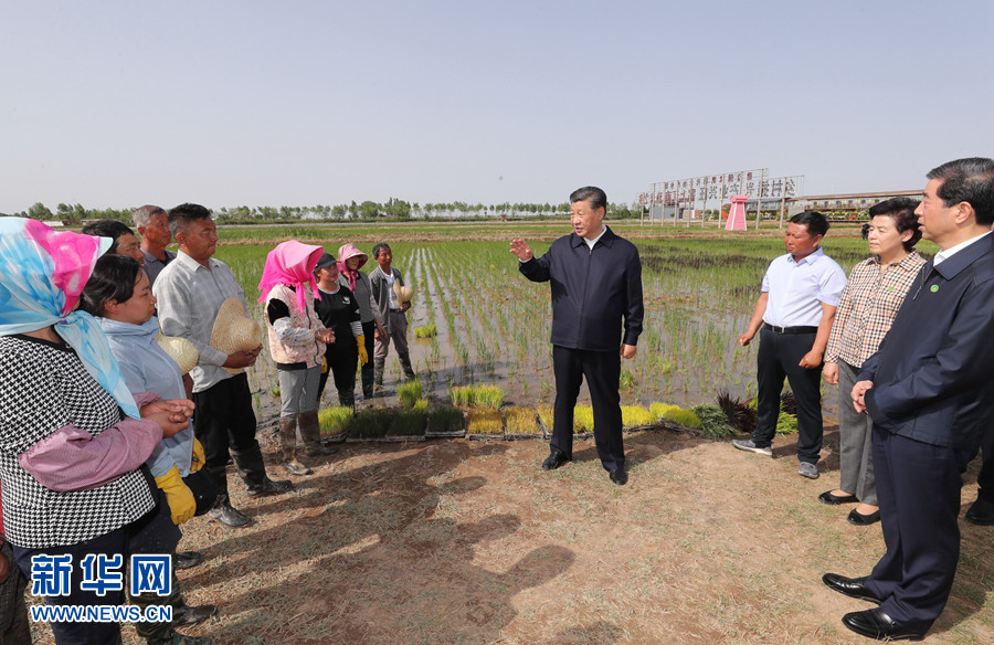 习近平在宁夏考察