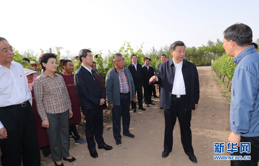 习近平在宁夏考察