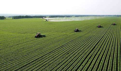 农业农村经济向好态势持续巩固 麦收进度已过七成半