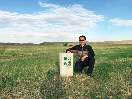 中国最大的天然燕麦种植基地“蒙北燕麦11万亩已完成播种”
