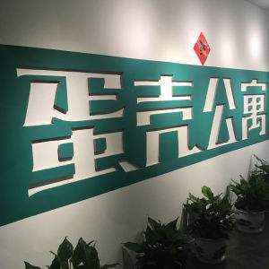 蛋壳公寓CEO高靖被调查 总裁崔岩出任临时CEO