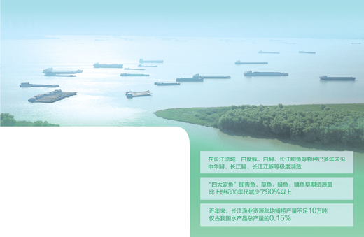 长江禁渔,为何还有禁而不止的现象