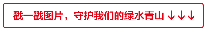 今天，您“低碳”了吗？