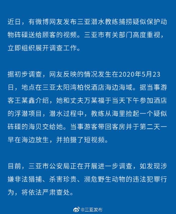 三亚有潜水教练被指捕捞疑似砗磲 官方：展开调查