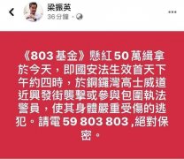 香港警察遭暴徒利器刺伤，梁振英悬赏50万港元缉凶