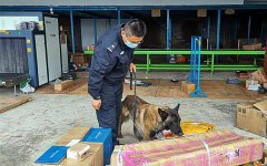 公安部调集警犬查缉电信网络诈骗作案工具