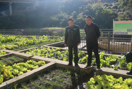 怒江边上的“微菜园”