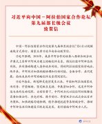习近平向中国－阿拉伯国家合作论坛第九届部长级