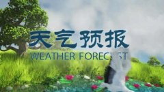 这个顶流节目迎40岁生日！每天只播几分钟却家喻户晓