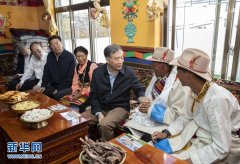 汪洋：坚持和贯彻新时代党的治藏方略 推进西藏长治久安