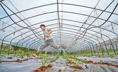 农大毕业生返乡办农场