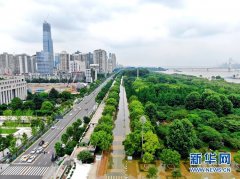 武汉今年平均降雨总量居历史同期第3位