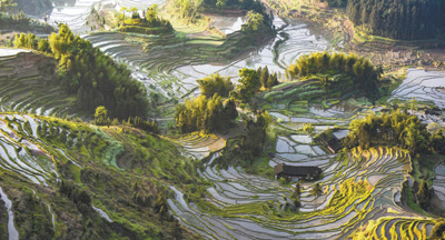 农业文化遗产具有非同寻常的意义