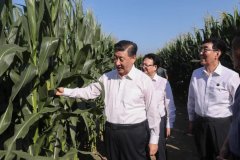 习近平：一定要采取有效措施保护好黑土地