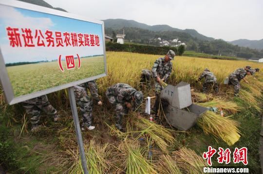 7省份同日举行公务员省考 招录政策向基层倾斜