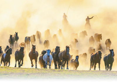 走进新的乡村深入新的生活