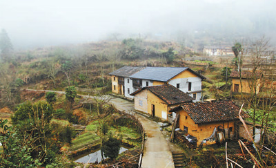 神山村的神奇巨变