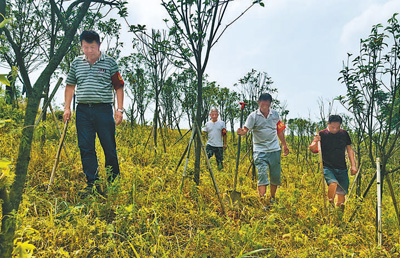 黄盖湖，我们一起守护（统筹做好疫情防控和防汛救灾工作）
