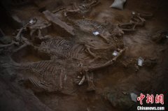 西周“第一豪车”青铜轮牙马车“重现”