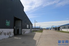 【幸福花开新边疆】百年养牛大镇的产业进阶路