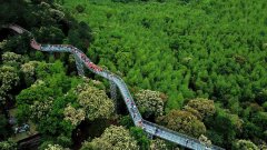 赣南苏区：开辟绿色发展新路径绘就美丽中国“江西样板”